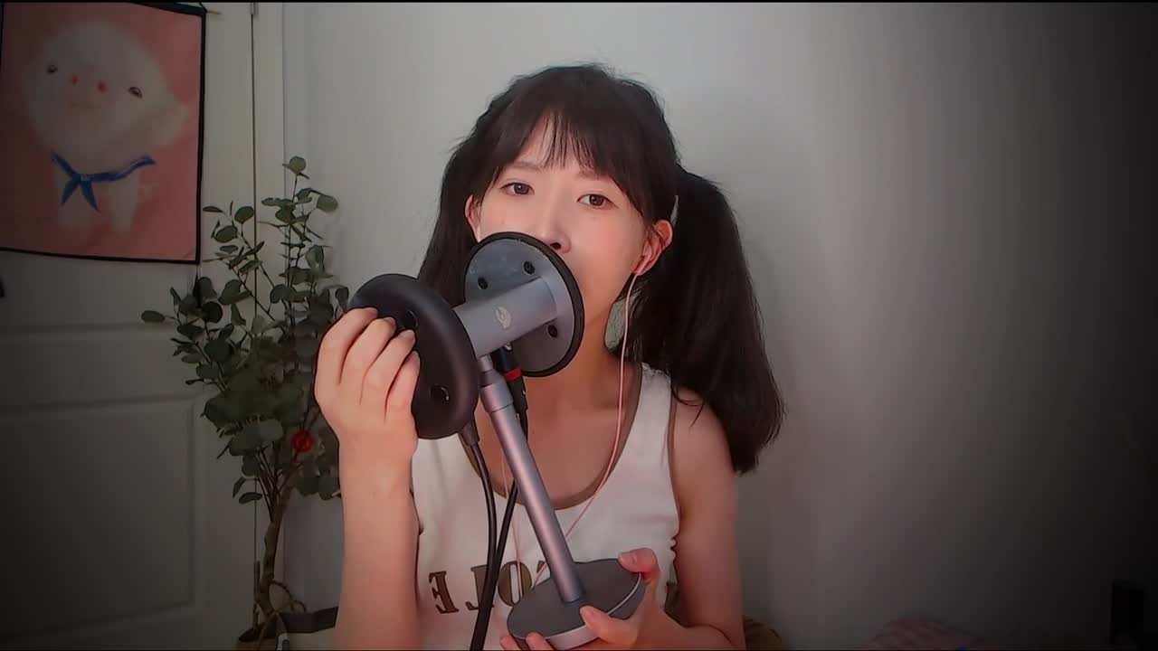 【芝麻对辣】助眠哄睡减压ASMR 19